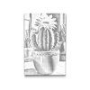 M2_Dotting_Points_-_Blooming_cactus