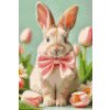M11_Diamond_Paintings_-_Rabbit_with_a_pink_bow