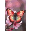 M11_Diamond_Paintings_-_Butterfly_on_a_spring_branch