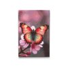 M2_Diamond_Paintings_-_Butterfly_on_a_spring_branch