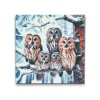 M2_Diamond_Paintings_-_Owl_family_in_winter