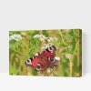 Paint by Number - Butterfly in the Grass