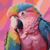 M11_Painting_by_Numbers_-_Parrot_in_shades_of_pink