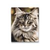 M2_Painting_by_Numbers_-_Maine_Coon_cat
