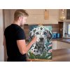 M9_Diamond_Paintings_-_Dalmatian_puppy