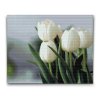 M2_Diamond_Paintings_-_White_Tulips