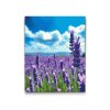 M2_Diamond_Paintings_-_Lavender_in_the_field