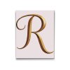 M2_Painting_by_Numbers_-_Letter_R