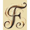M11_Painting_by_Numbers_-_Letter_F