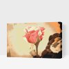 Paint by Number - Vintage Rose 3