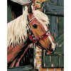 Paint by Number - Horse in a Stable