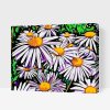 Paint by Number - Daisies