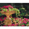 Paint by Number - Flower Fountain