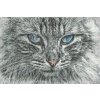 Diamond Painting - Cat Portrait