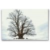 Diamond Painting - Lonely Tree
