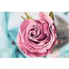 Paint by Number - Head of Rose