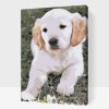 Paint by Number - Labrador Puppy