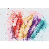 Paint by Number - Colorful Feathers