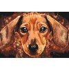 Paint by Number - Dachshund head