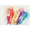 Diamond Painting - Colorful Feathers