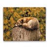 Diamond Painting - Fox Resting on a Tree Trunk