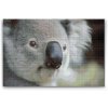 Diamond Painting - Koala Bear