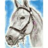Diamond Painting - White Horse