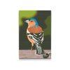 Diamond Painting - Bird on Wood