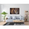 Diamond Painting - Predatory Look of a Lion