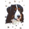Diamond Painting - Dog with Paws