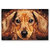 Diamond Painting - Dachshund head