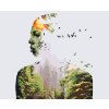 Paint by Number - Woman, Forest, Birds