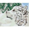 Paint by Number - Dog in the Snow