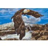 Diamond Painting - Eagle by the Waterfall