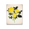 Diamond Painting - Wild Yellow Roses