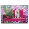 Diamond Painting - Puppy on the Bench