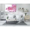 Diamond Painting - Flowering Cherry