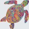 Paint by Number - Rainbow Turtle