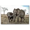 Diamond Painting - Elephant Cub with Mother