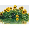 Paint by Number - Sunflower by the Water