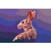 Paint by Number - Vector Bunny