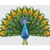 Paint by Number - Painted Peacock