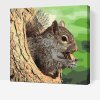Paint by Number - Squirrel on the Tree