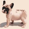 Paint by Number - French Bulldog