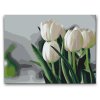 M2_Painting_by_Numbers_-_White_Tulips