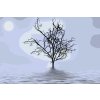 Paint by Number - Tree in the Fog