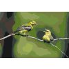 Paint by Number - Birds on Tree
