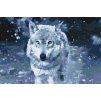 Paint by Number - Wolf Predator
