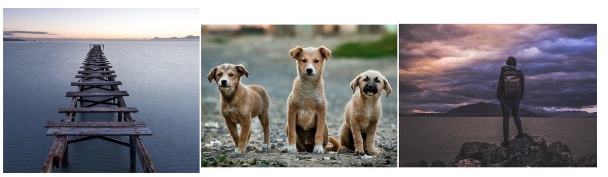 Hoe kies je de juiste foto?