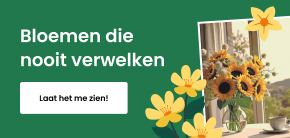 category_banner_big_mobile